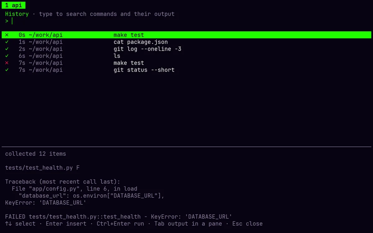 The history browser listing recent commands with pass or fail marks and a preview of the selected command's output